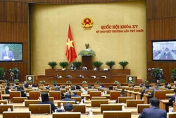 越南第十五届国会特别会议：讨论两项重要内容