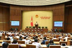 越南第十四届国会第九次会议：讨论两部法案