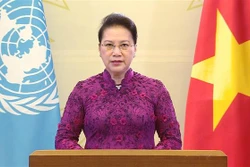 越南国会主席阮氏金银在纪念第四次世界妇女大会25周年高级别会议上通过视频发表讲话