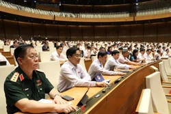 第十四届国会第九次会议：为2020年营业额在2000亿越盾以下的企业减税