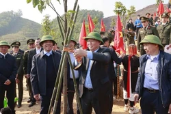 国会主席王廷惠出席宣光省的2023年竞赛和植树节启动仪式