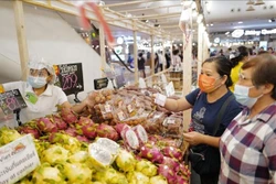 努力把越南产商品送到泰国消费者手中