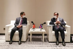 越南外交部长裴青山会见柬埔寨副首相兼外交和国际合作部大臣布拉索昆