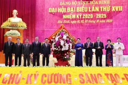迎接党的十三大：国会主席阮氏金银出席越共和平省第十七次代表大会