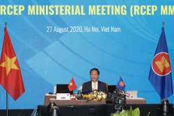 致力于《区域全面经济伙伴关系协定》在2020年底签署
