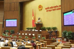  越南国会主席阮氏金银当选国家选举委员会主席