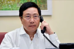 越南与尼日利亚努力推进双边关系
