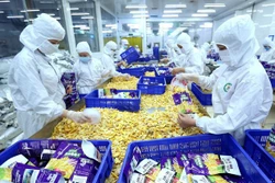 让越南商品在国际市场上亮剑