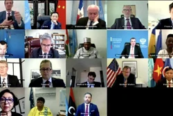 越南与联合国安理会：由利比亚人引领的和平进程是利比亚问题的唯一解决方案