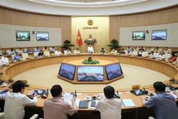 2020年上半年越南全国交通事故大幅减少