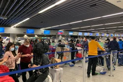 将在德国滞留的近310名越南公民安全接回国