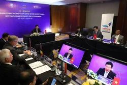 越南为联合国安理会作出积极和负责任贡献