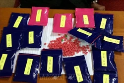 乂安省：抓获一名私藏3000粒合成毒品嫌疑人