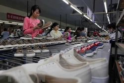 德国媒体：越南对经济发展前景持乐观态度
