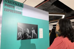 2020年越南摄影大赛结果揭晓