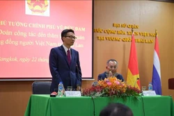 政府副总理武德儋会见旅居泰国越南人代表