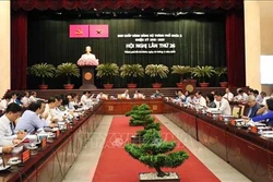 越共胡志明市第十届委员会第26次全体会议开幕