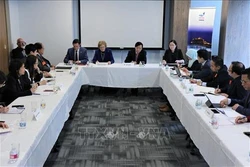 2020东盟主席年：越南主持召开驻联合国东盟委员会会议