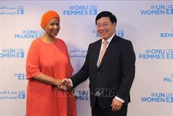 越南与联合国安理会：联合国秘书长与各国官员高度评价越南的国际地位