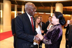 越南国会主席阮氏金银会见古巴国务委员会第一副主席兼第一副部长会议主席