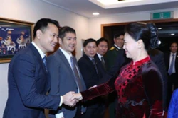 阮氏金银会见越南驻韩大使馆工作人员及旅韩越侨代表