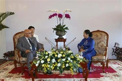胡志明市市委副书记武氏蓉会见古巴革命保护委员会主席