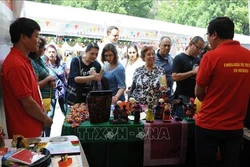 越南参加东方文化节 给游客留下深刻印象