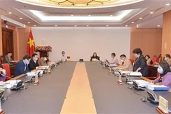 对《越南契约劳动者出国工作法（修正案）》进行初步审查