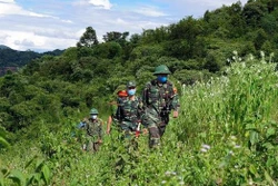 越南陆地边境地区经济社会发展的五项核心任务和措施