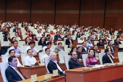 越南第十四届国会第十一次会议：提请国会免去国家主席职务