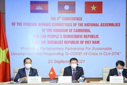 越老柬三国国会对外委员会关于发展三角区的第八次会议开幕