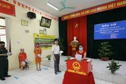国会副主席阮克定：选举工作按计划进行