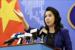 越南多错并举促进渔业可持续发展