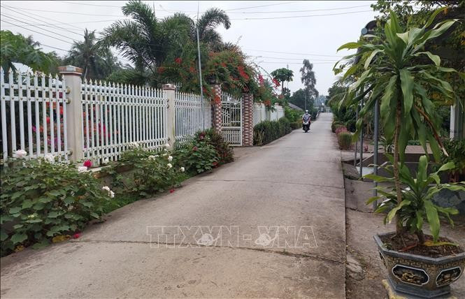 金瓯省农村公路浇筑水泥路面。图自越通社