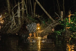 游客对与当地居民一同在红树林下捕捉海蟹的体验十分感兴趣。图自越通社