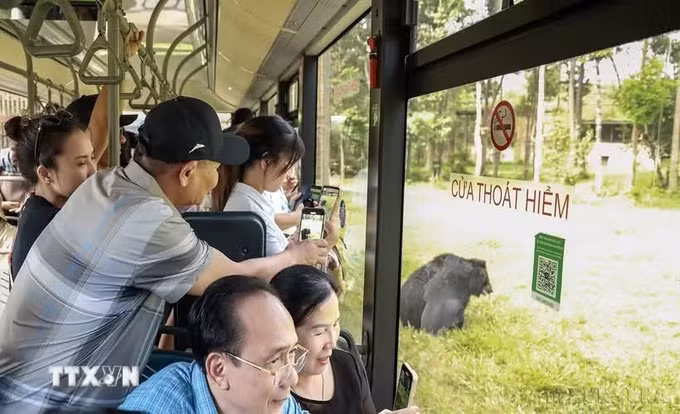 safari-phu-quoc.jpg