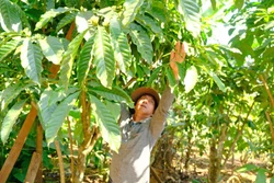 克芬（K’Phân） 先生是当地经济发展的先锋模范。