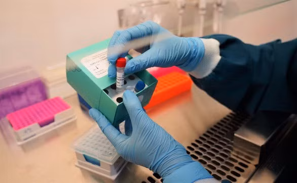 越南成功研发两款新冠病毒核酸检测试剂盒