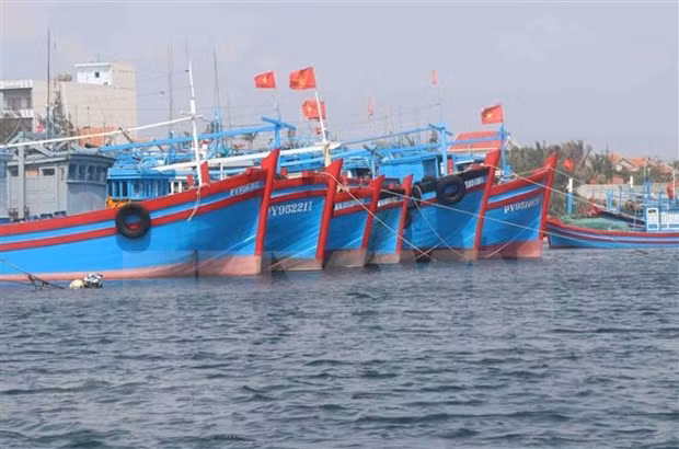 坚江省坚决禁止非法捕捞行为