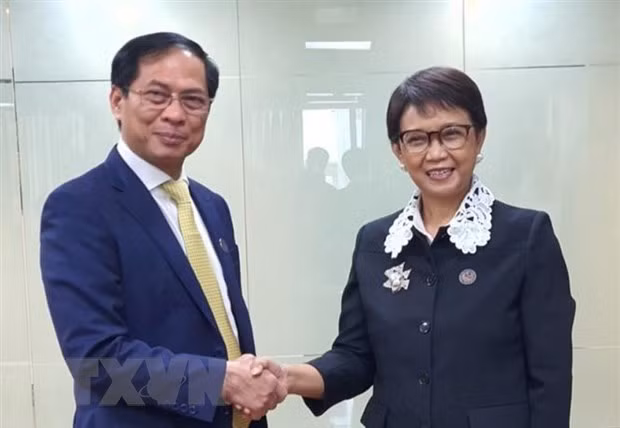 越南同意促进与印度尼西亚和文莱的合作