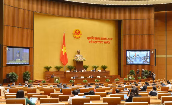 越南第十四届国会第十次会议新闻公报（第七号）