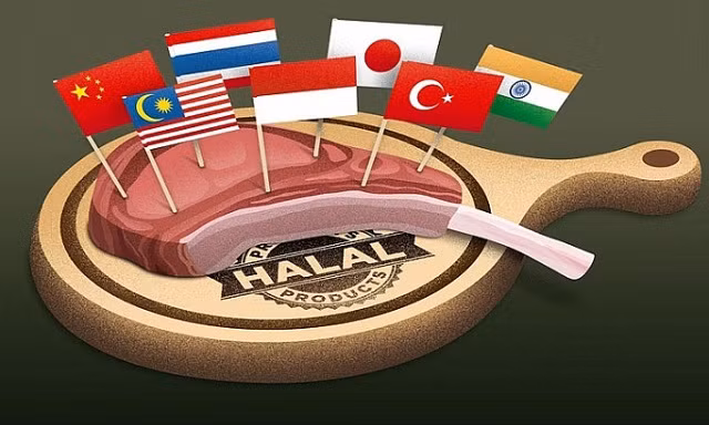 印度尼西亚增加对伊斯兰会议组织成员国的出口