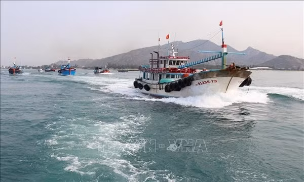 解除IUU“黄牌”警告将助力宁顺省海洋经济可持续发展