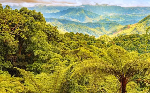 美国AFAR 旅游杂志：风芽-格邦是2022年值得体验的39个旅游目的地之一