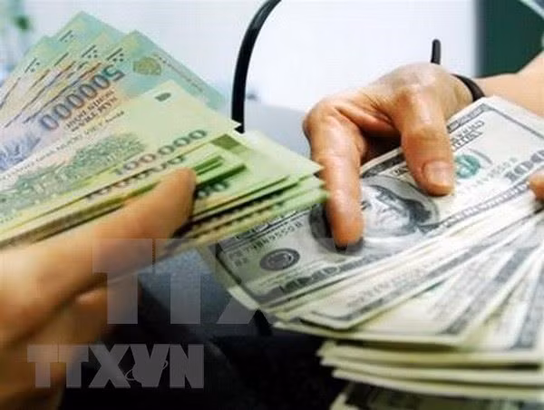 1月7日上午越盾对美元汇率中间价下调10越盾