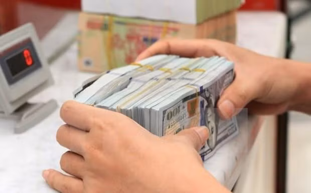 1月25日上午越盾对美元汇率中间价下调6越盾