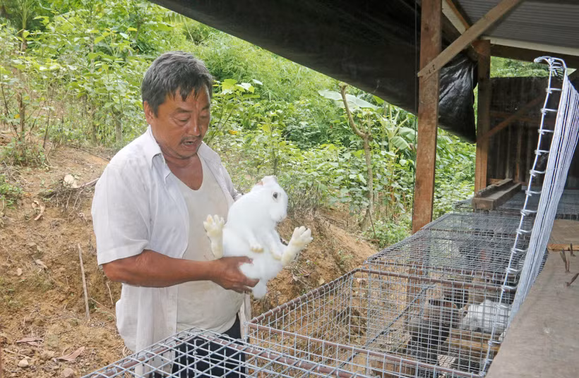 戈豪族同胞靠畜牧模式多样化脱贫
