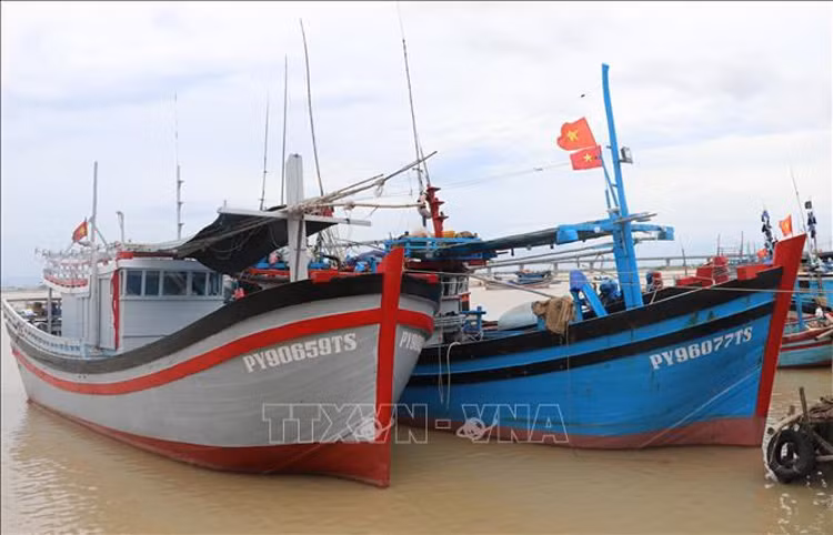 解除IUU“黄牌”：坚决不让未安装巡航监测设备的渔船出海