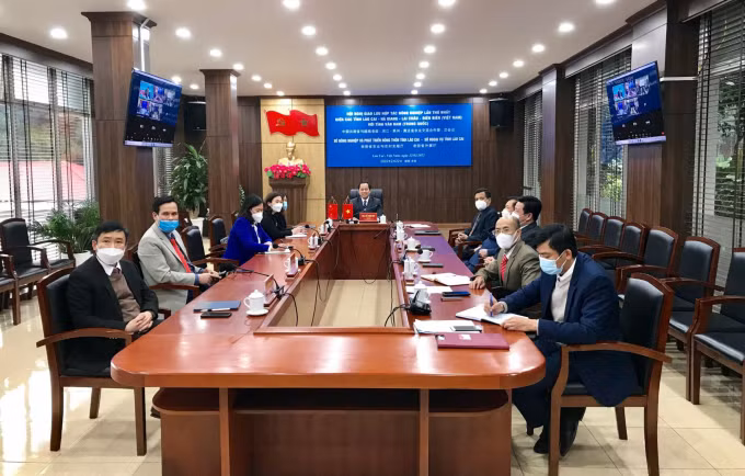 越南四省与中国云南省加强农业合作