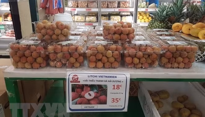 每个旅外越南人都成为向世界介绍越南农产品和吸引外国投资的重要桥梁